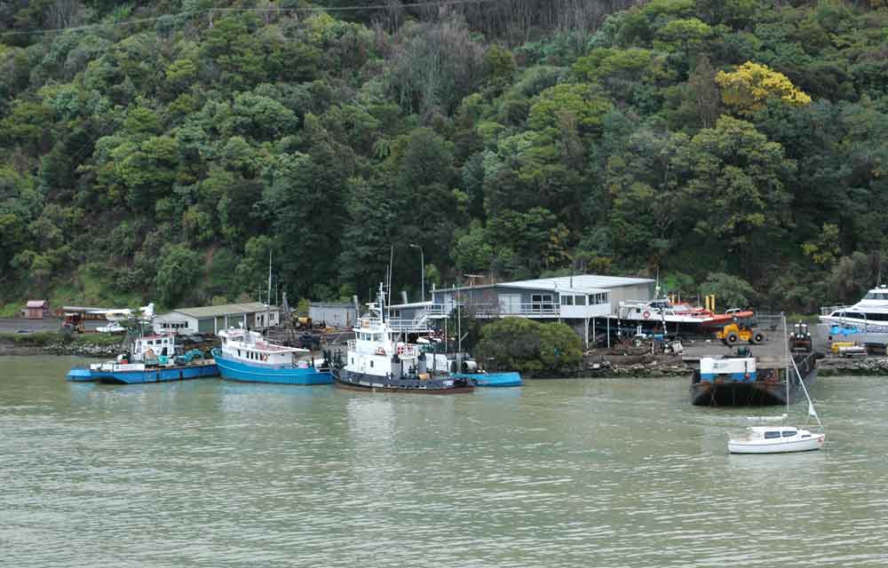 135 - Nueva Zelanda - Picton, muelle, barcas